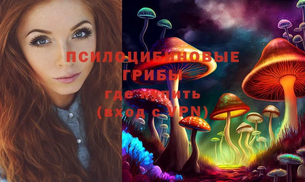 синтетический гашиш Алексеевка